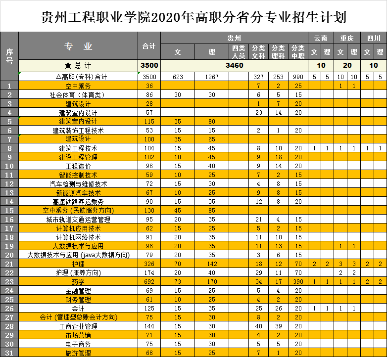 开云网页版2020年高职分省分专业招生计划(图1)