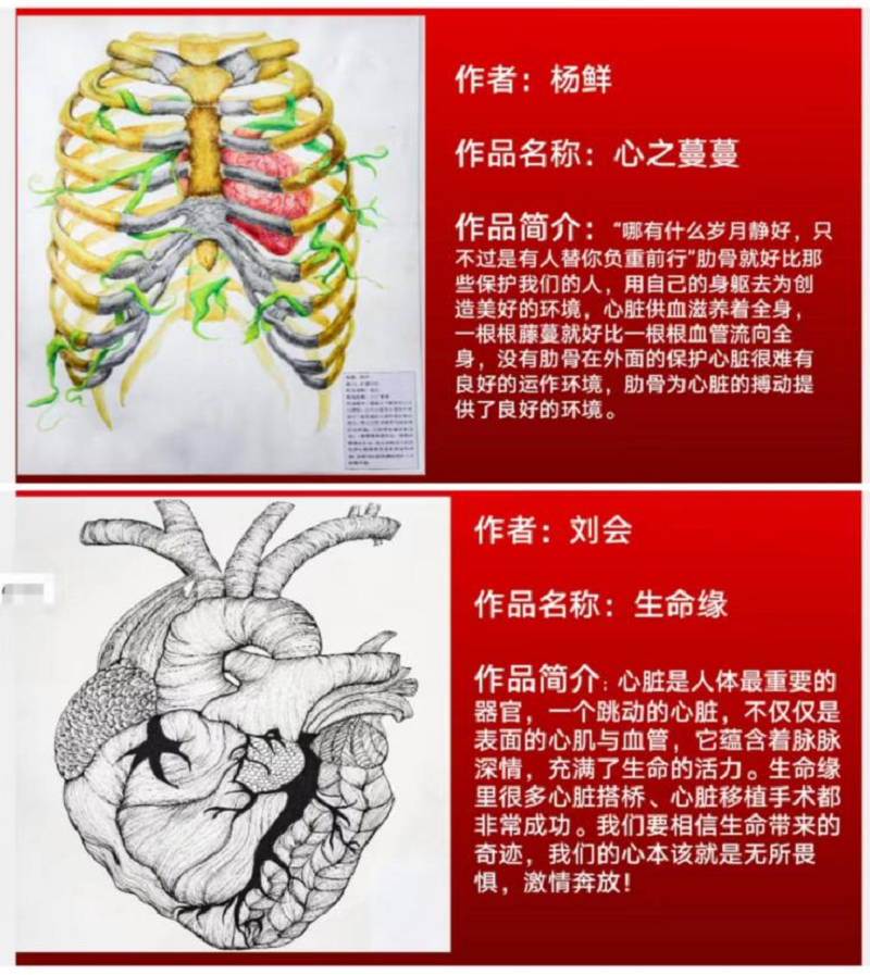 弘扬解剖文化 推动医学科普 ——我院召开第一届人体解剖绘图大赛表彰大会暨 2022年职业教育活动周总结会(图6) 弘扬解剖文化 推动医学科普 ——我院召开第一届人体解剖绘图大赛表彰大会暨 2022年职业教育活动周总结会(图6)