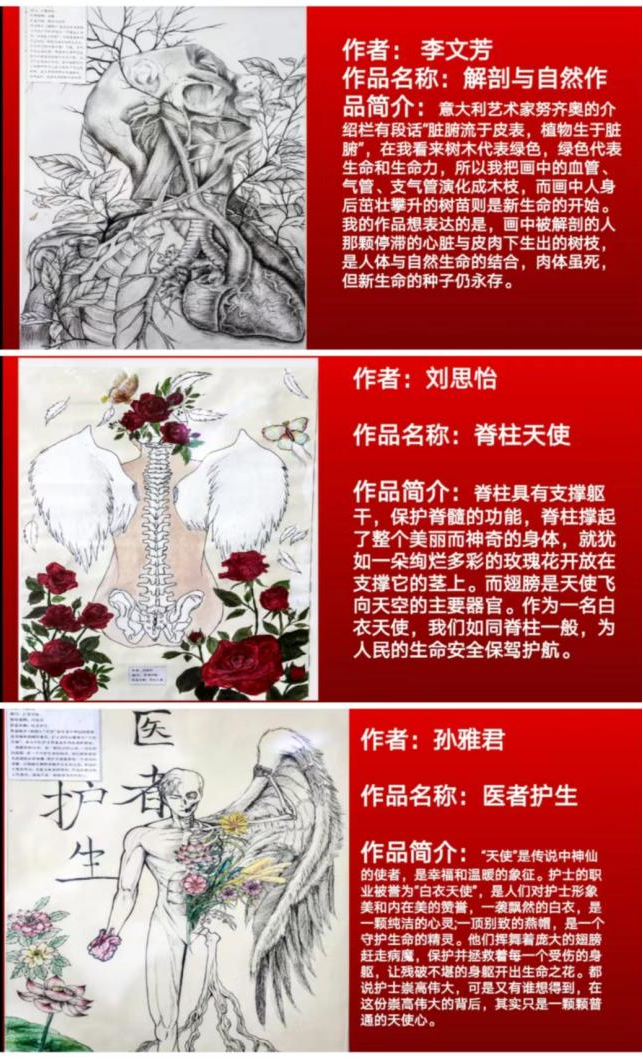 弘扬解剖文化 推动医学科普 ——我院召开第一届人体解剖绘图大赛表彰大会暨 2022年职业教育活动周总结会(图7) 弘扬解剖文化 推动医学科普 ——我院召开第一届人体解剖绘图大赛表彰大会暨 2022年职业教育活动周总结会(图7)