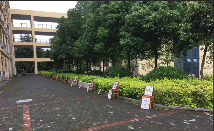 传承中药古韵 珍爱自然魅力——药学院成功举办中药植物标本展览(图2) 传承中药古韵 珍爱自然魅力——药学院成功举办中药植物标本展览(图2)