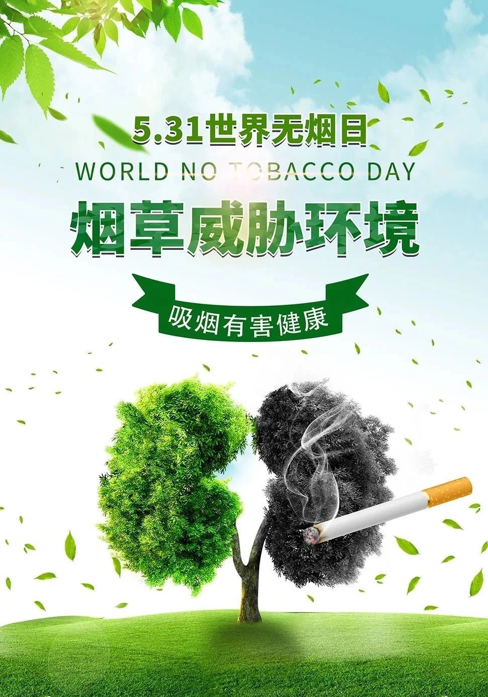 共建健康校园 拥抱清新空气—药学院开展“远离烟草·呵护健康”禁烟系列活动(图1) 共建健康校园 拥抱清新空气—药学院开展“远离烟草·呵护健康”禁烟系列活动(图1)