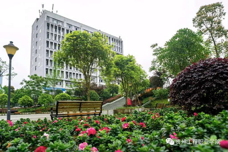 开云网页版2021年招生简章(图10)
