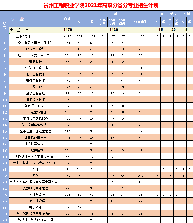 开云网页版2021年高职招生专业计划(图1)